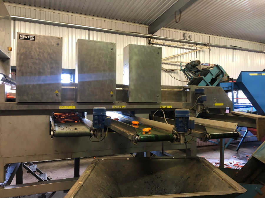 5603 NEWTEC Celox RV12 optical grader for carrots