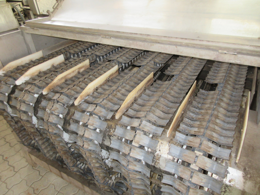 5659 Newtec celox optical sorter for carrots