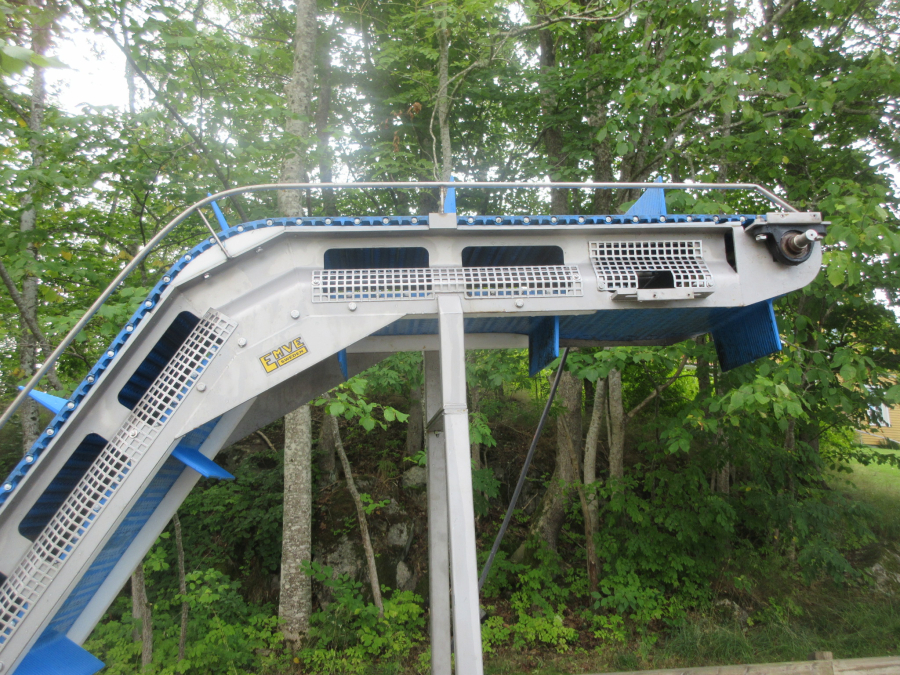 5673 EMVE elevator with swan neck Stainless Steel 