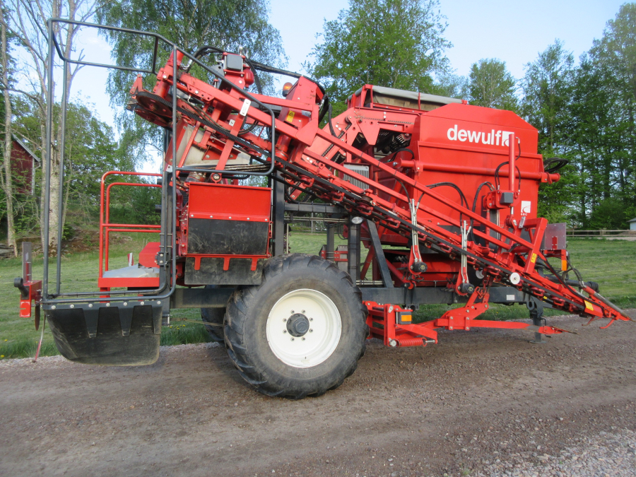 5813 Dewulf GBC carrot harvester 1 row with bunker