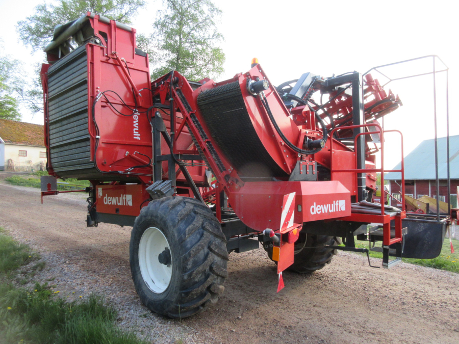 5813 Dewulf GBC carrot harvester 1 row with bunker