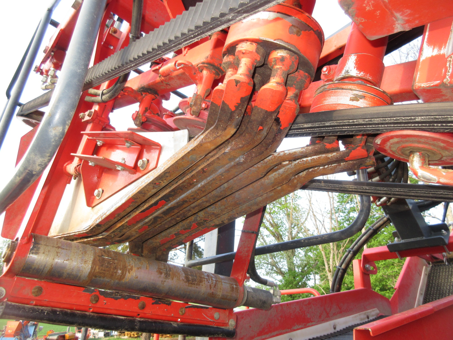 5813 Dewulf GBC carrot harvester 1 row with bunker