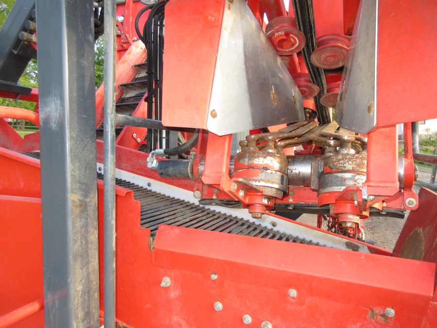 5813 Dewulf GBC carrot harvester 1 row with bunker