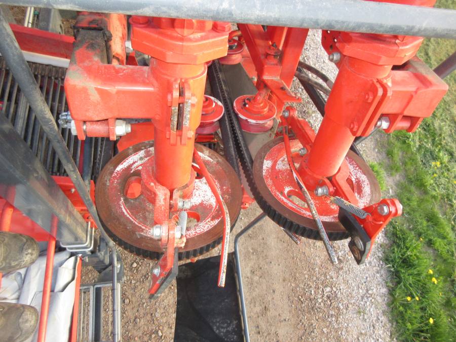 5813 Dewulf GBC carrot harvester 1 row with bunker
