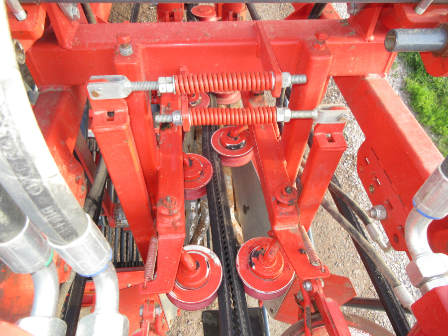 5813 Dewulf GBC carrot harvester 1 row with bunker