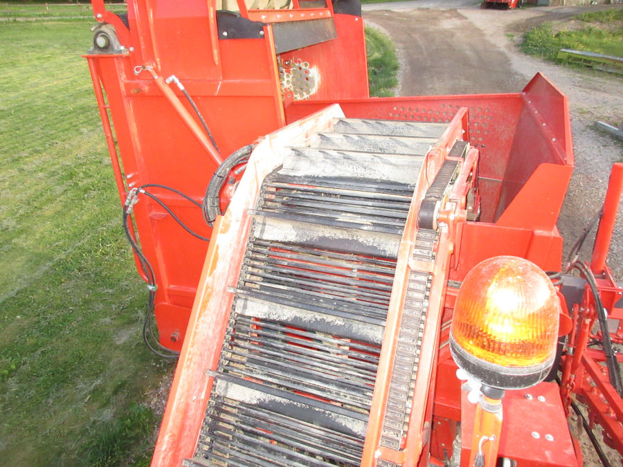 5813 Dewulf GBC carrot harvester 1 row with bunker