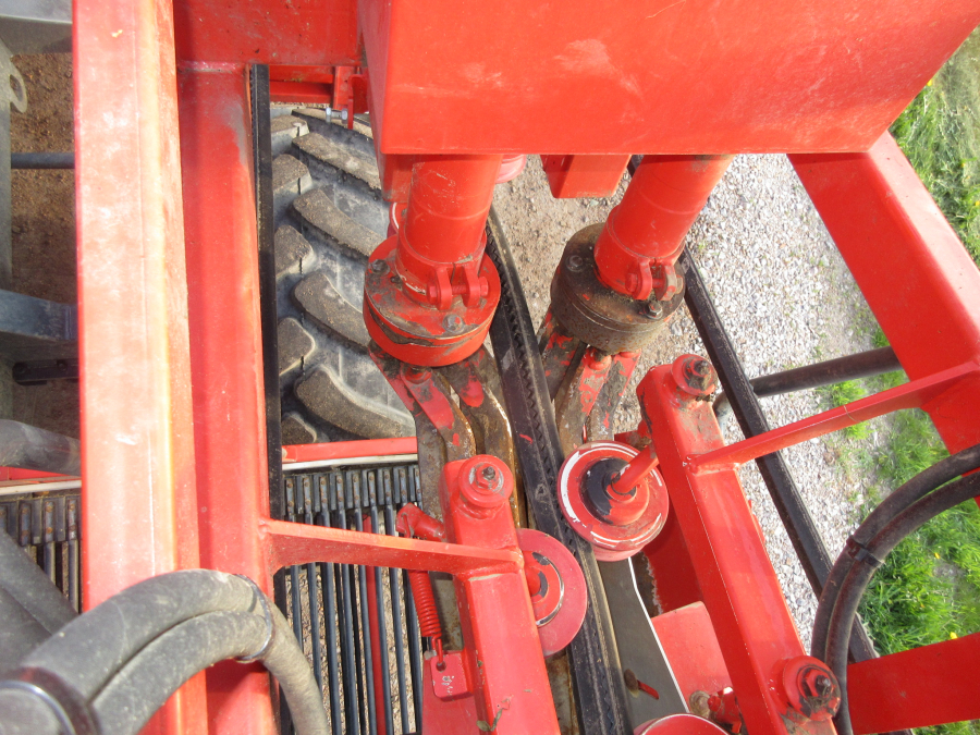 5813 Dewulf GBC carrot harvester 1 row with bunker