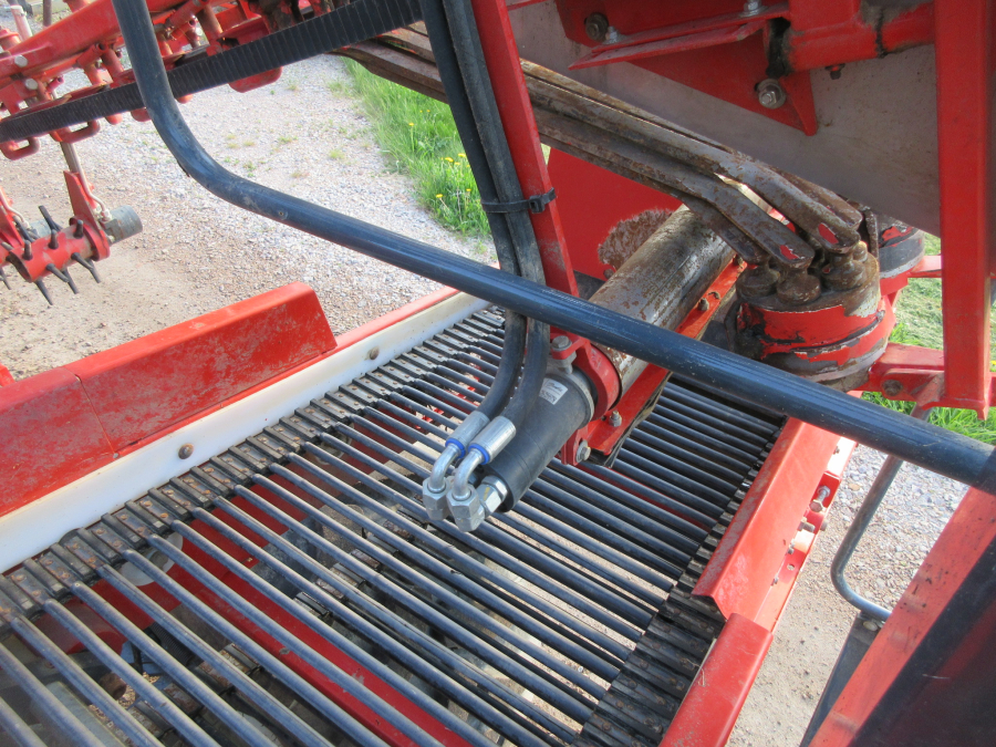 5813 Dewulf GBC carrot harvester 1 row with bunker