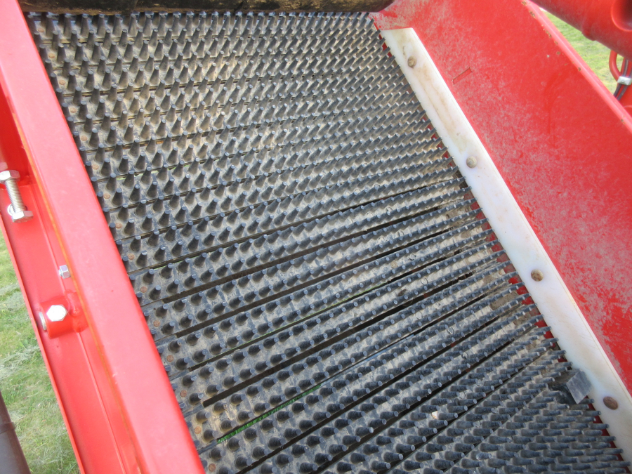 5813 Dewulf GBC carrot harvester 1 row with bunker