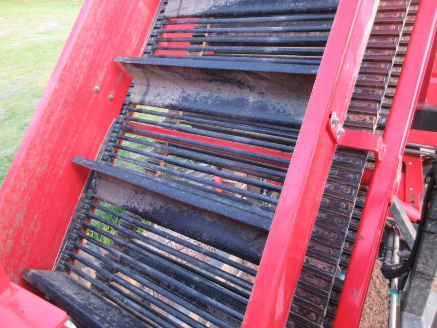 5813 Dewulf GBC carrot harvester 1 row with bunker
