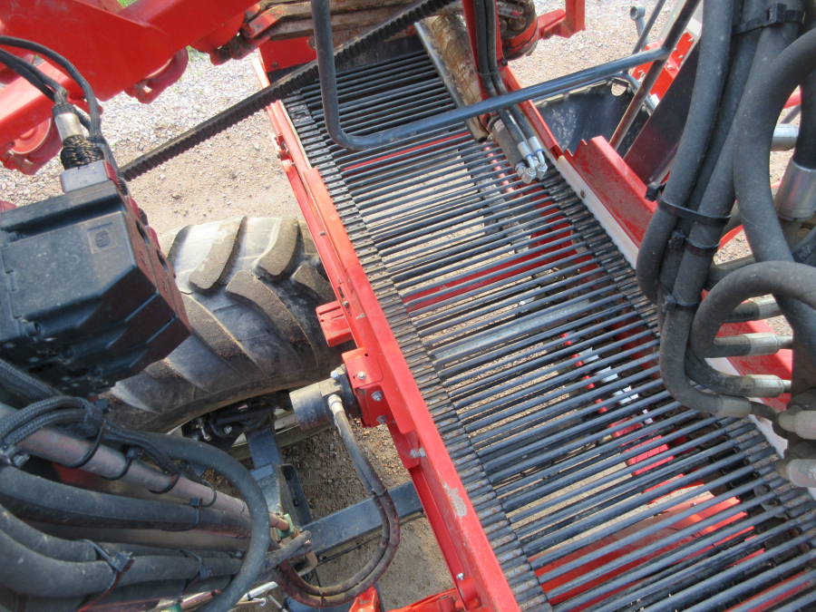 5813 Dewulf GBC carrot harvester 1 row with bunker