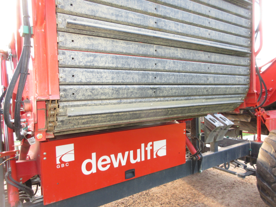 5813 Dewulf GBC carrot harvester 1 row with bunker