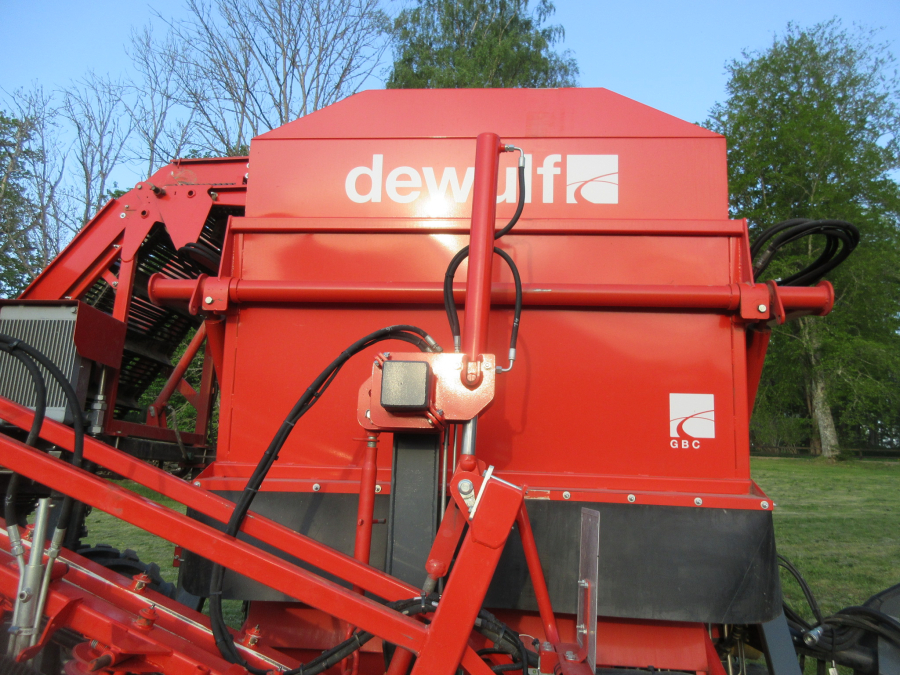 5813 Dewulf GBC carrot harvester 1 row with bunker