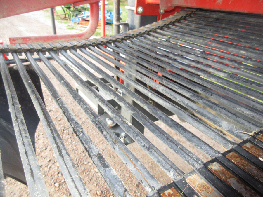 5813 Dewulf GBC carrot harvester 1 row with bunker