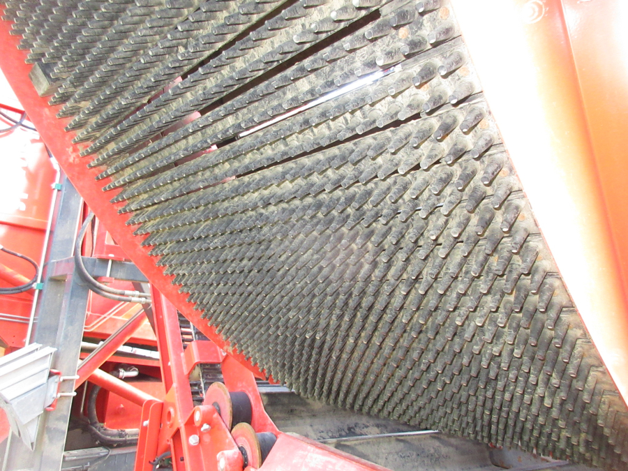 5813 Dewulf GBC carrot harvester 1 row with bunker