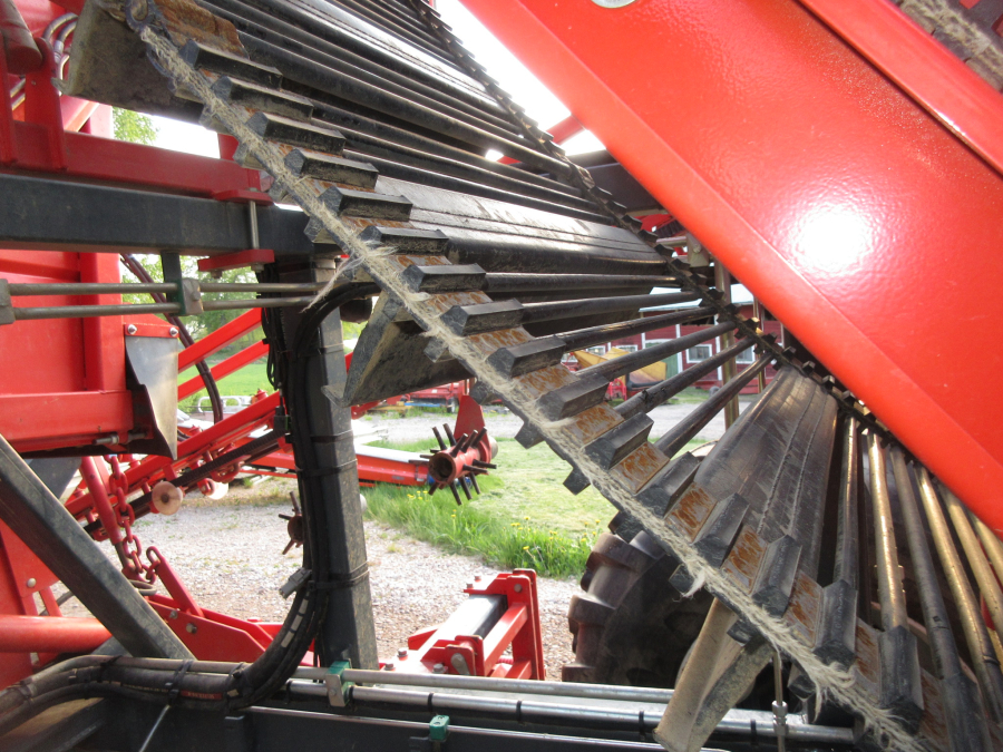 5813 Dewulf GBC carrot harvester 1 row with bunker