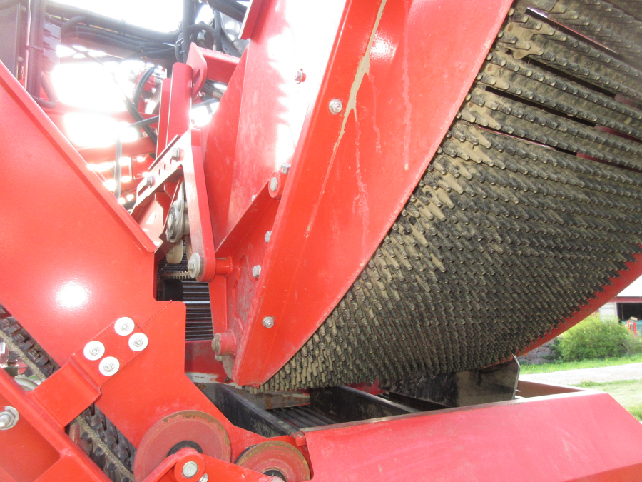 5813 Dewulf GBC carrot harvester 1 row with bunker