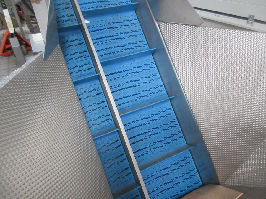 5846 EMVE automatic weigher for peeled products