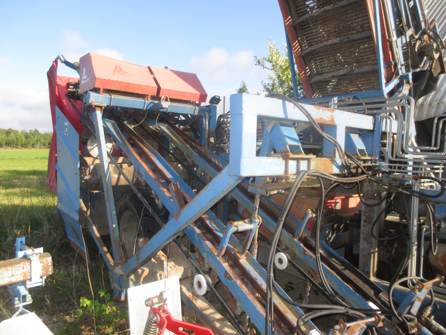 5889 Asa-Lift carrot harvester 2 row with elevator