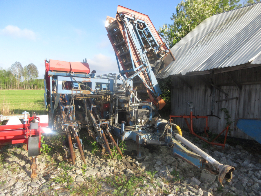 5889 Asa-Lift carrot harvester 2 row with elevator
