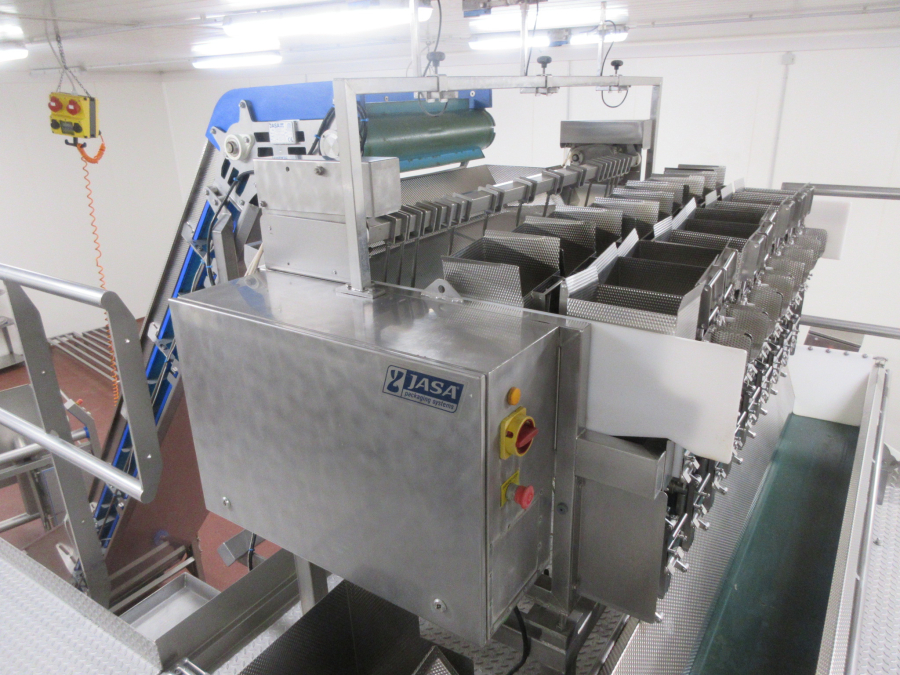5938 Newtec JASA packaging line for processed vegetables potatoes