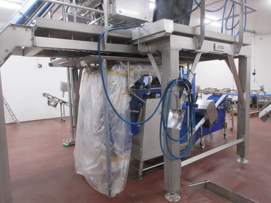 5938 Newtec JASA packaging line for processed vegetables potatoes