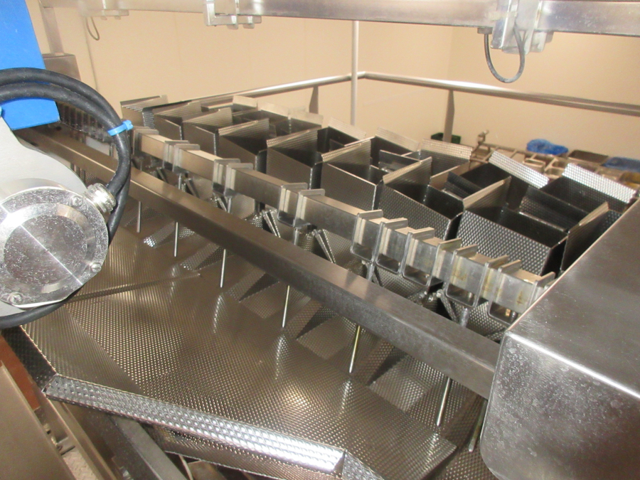 5938 Newtec JASA packaging line for processed vegetables potatoes