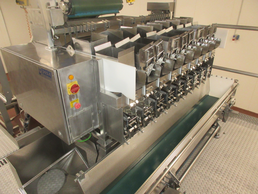 5938 Newtec JASA packaging line for processed vegetables potatoes