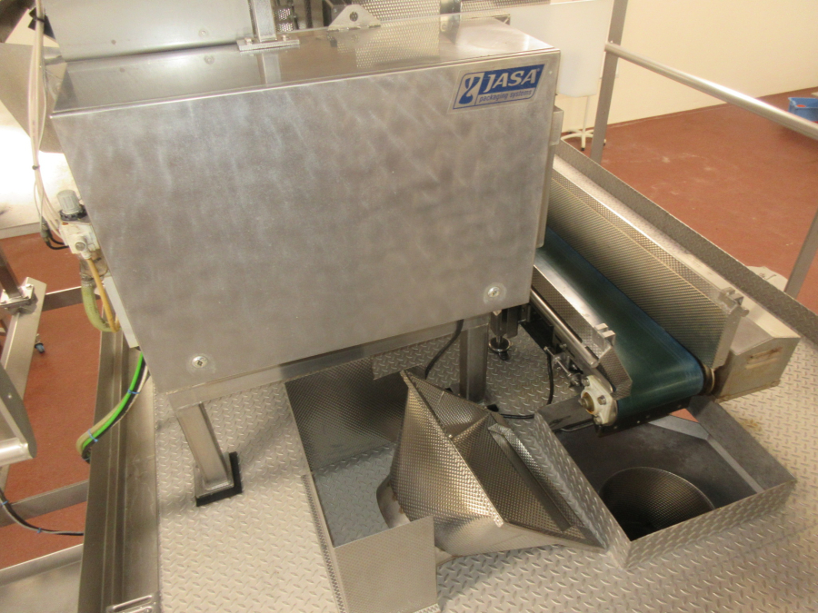 5938 Newtec JASA packaging line for processed vegetables potatoes
