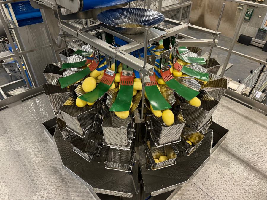 6002 Ishida multihead weigher