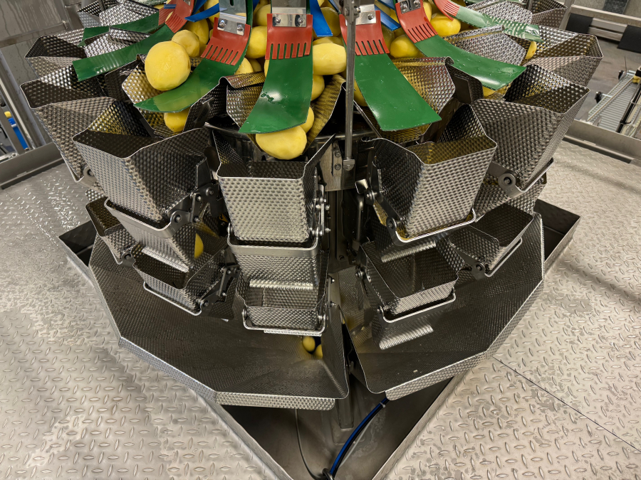 6002 Ishida multihead weigher