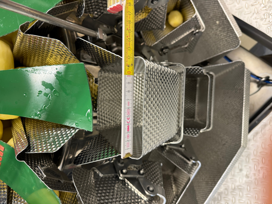 6002 Ishida multihead weigher