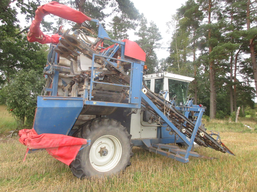 6039 Asa-Lift SP-200 E carrot harvester