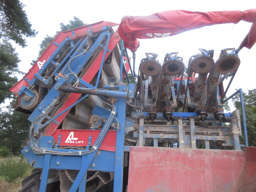 6039 Asa-Lift SP-200 E carrot harvester