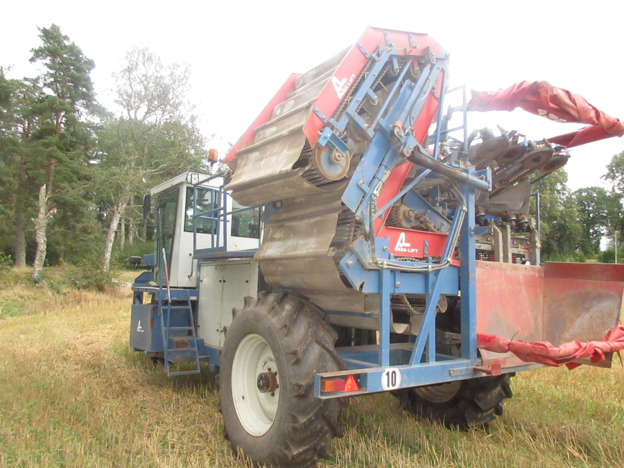 6039 Asa-Lift SP-200 E carrot harvester