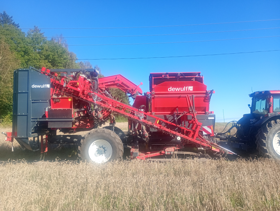 6041 Dewulf GBII carrot harvester