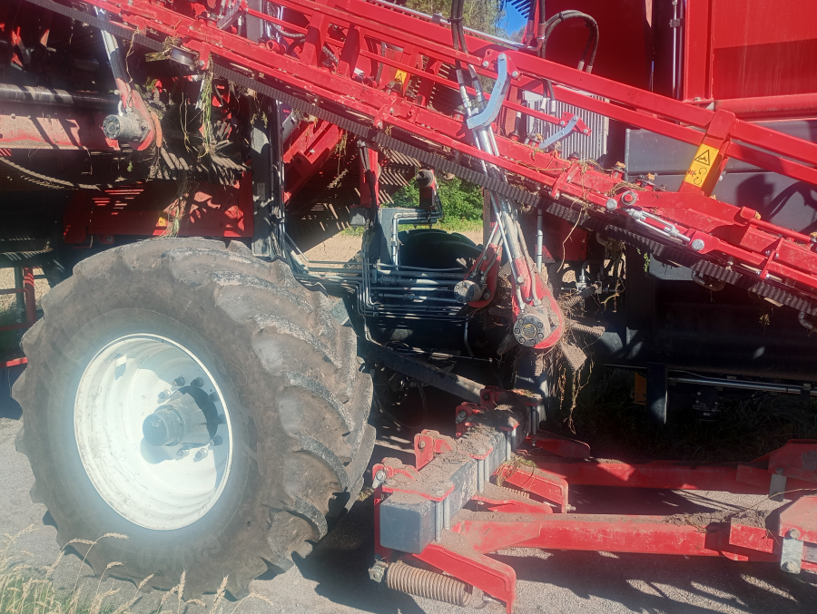 6041 Dewulf GBII carrot harvester