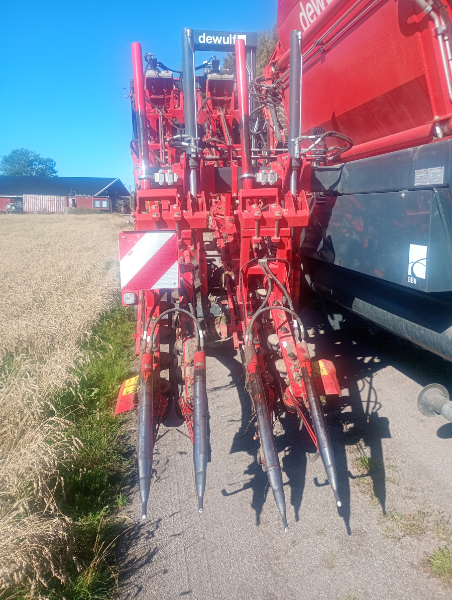 6041 Dewulf GBII carrot harvester