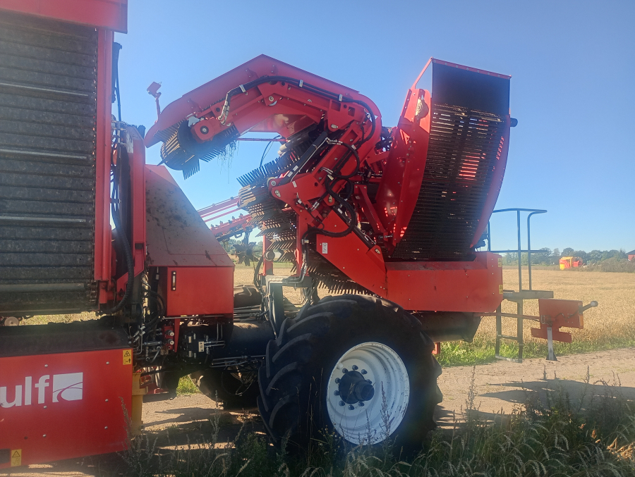6041 Dewulf GBII carrot harvester