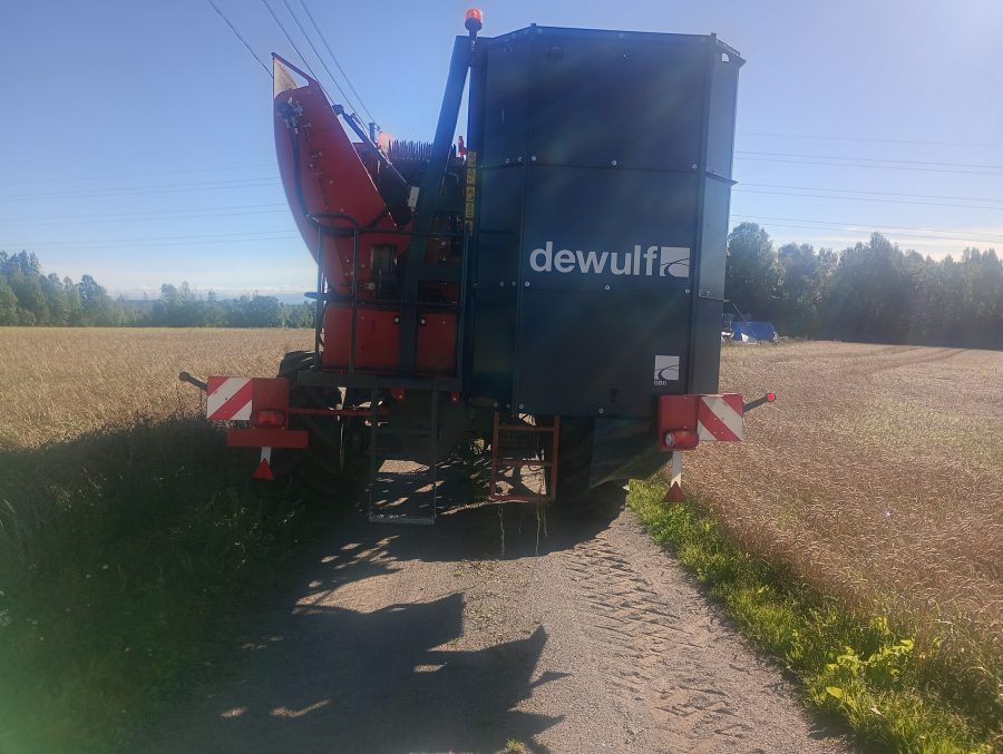 6041 Dewulf GBII carrot harvester