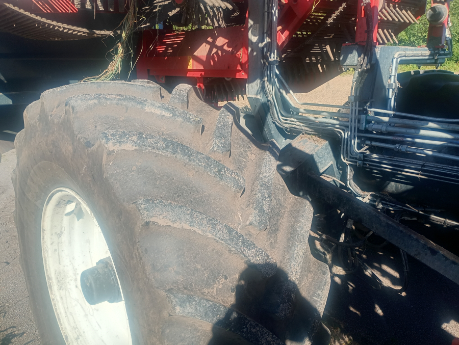 6041 Dewulf GBII carrot harvester