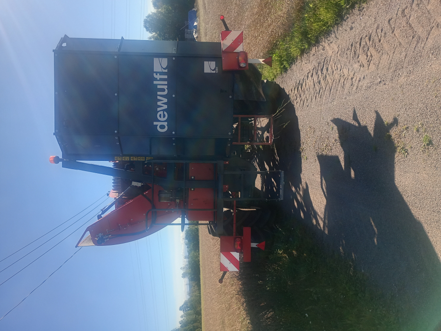 6041 Dewulf GBII carrot harvester