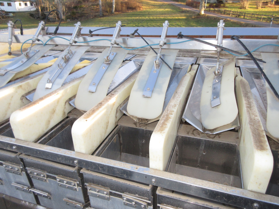 6072 Newtec 2012XBG weigher for carrot and potato