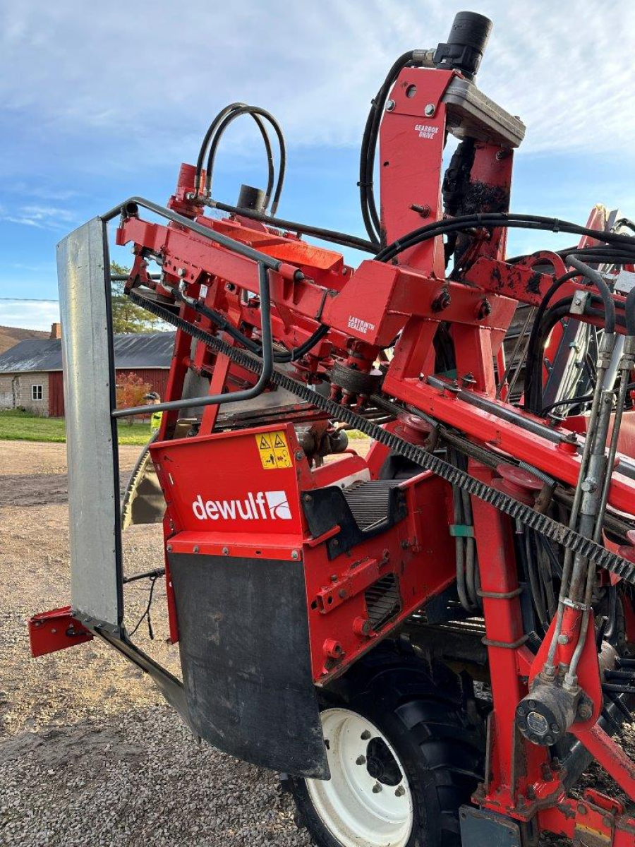 6079 Dewulf carrot harvester with elevator