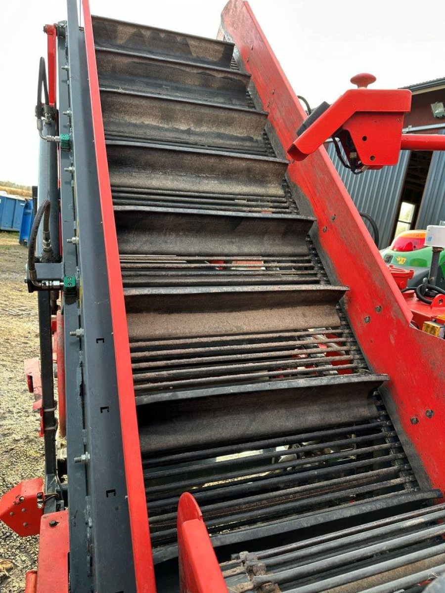 6079 Dewulf carrot harvester with elevator