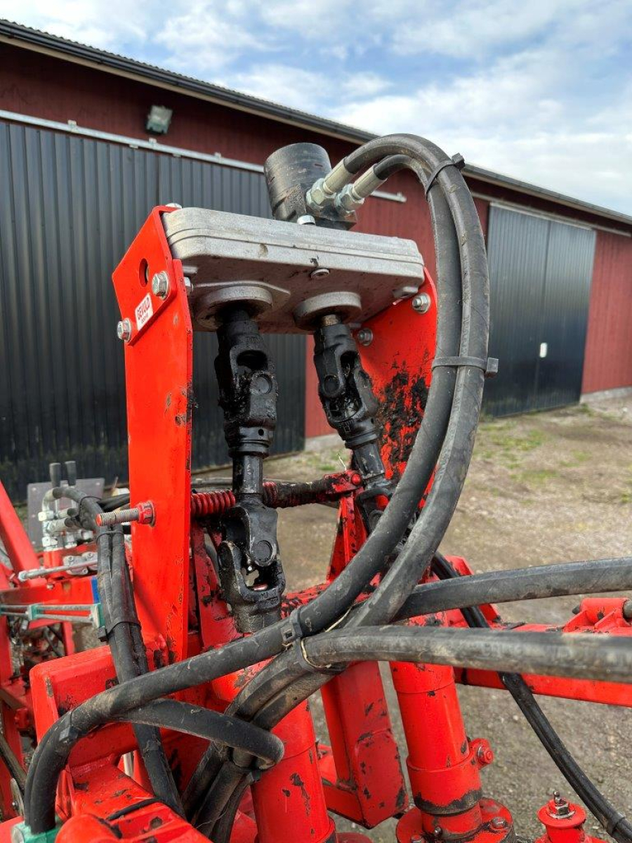 6079 Dewulf carrot harvester with elevator