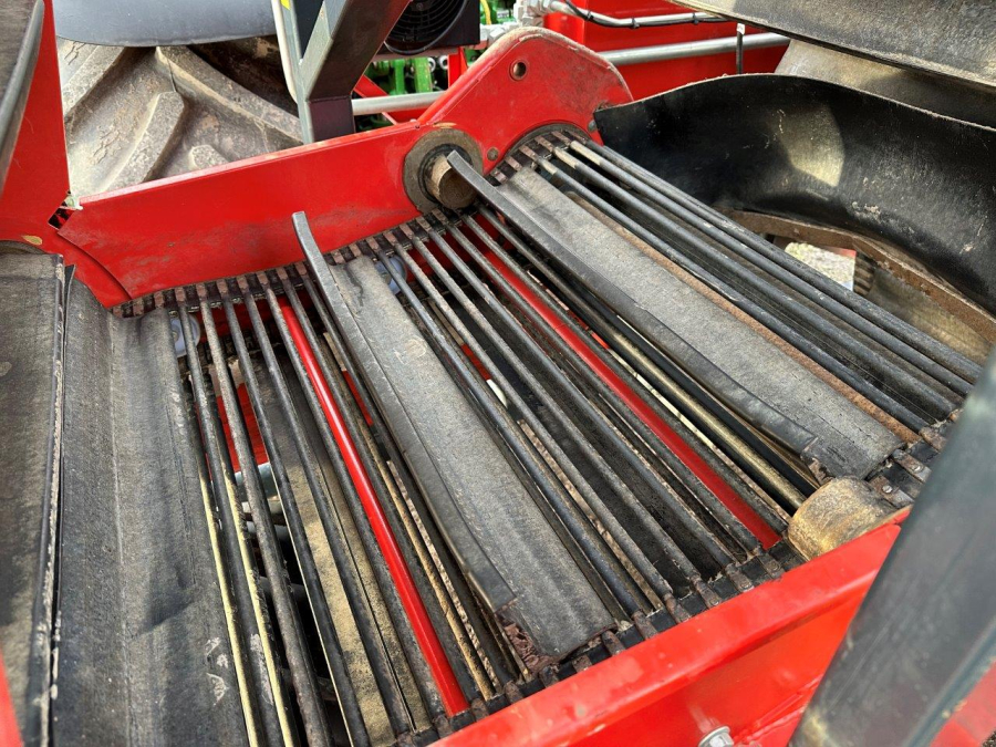6079 Dewulf carrot harvester with elevator