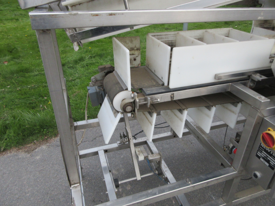 6235 Newtec NBM 50 Denester and punnet filler