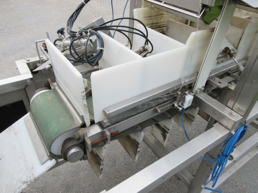 6235 Newtec NBM 50 Denester and punnet filler