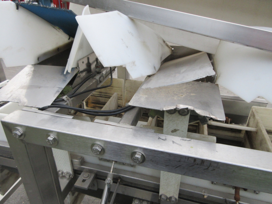 6235 Newtec NBM 50 Denester and punnet filler